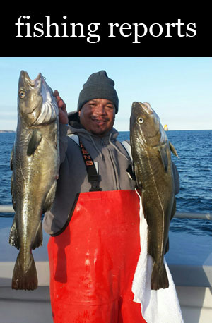 Blackhawk Sport Fishing